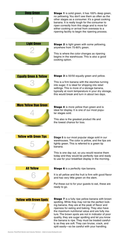 Banana Guide. Free Porn Videos Paid Videos Photos. Best Videos. More Girls Chat with x Hamster Live girls now! 02:41. Guide How To Properly Eat A Banana. 5.1K views. 43:43. Hotwifing - Introduction and Guide for Women and Couples. 